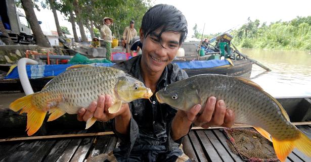 Do cha, catch fish, fishermen