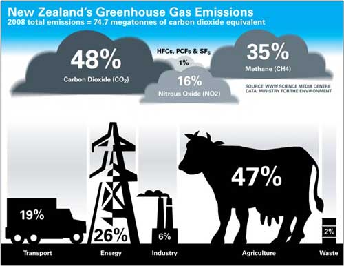 Cows, cars drive sharp rise in New Zealand greenhouse gas emissions