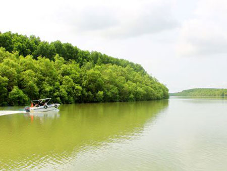 HCM City, Vam Sat Tourist Site, Can Gio mangrove forest