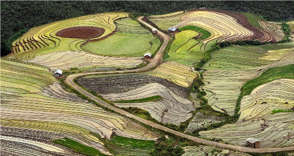 Yury Pustovoy, terraces, vietnam