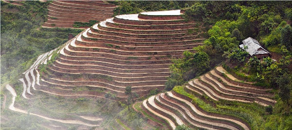 Yury Pustovoy, terraces, vietnam