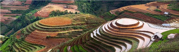 Yury Pustovoy, terraces, vietnam