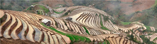 Yury Pustovoy, terraces, vietnam