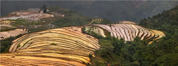 Yury Pustovoy, terraces, vietnam