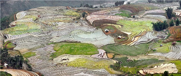 Yury Pustovoy, terraces, vietnam