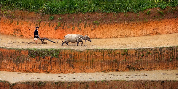 Yury Pustovoy, terraces, vietnam