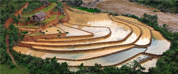 Yury Pustovoy, terraces, vietnam