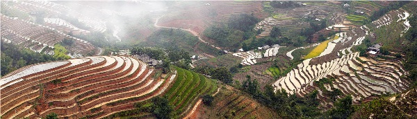 Yury Pustovoy, terraces, vietnam