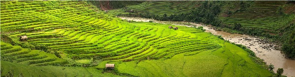 Yury Pustovoy, terraces, vietnam