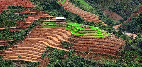 Yury Pustovoy, terraces, vietnam