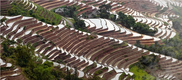 Yury Pustovoy, terraces, vietnam