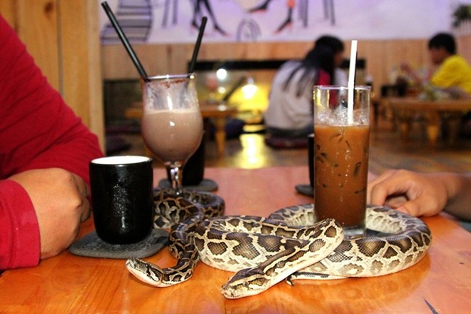 reptile cafe, saigon