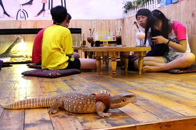 reptile cafe, saigon