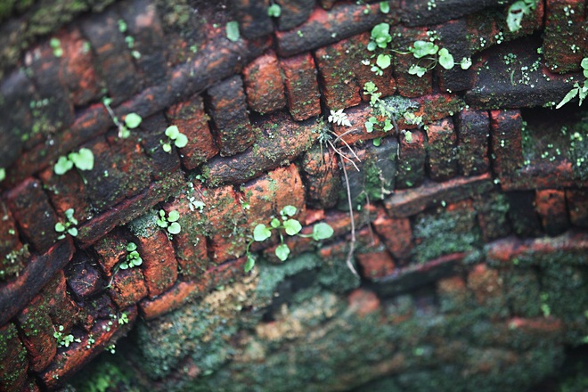 ancient wells, duong lam, hanoi