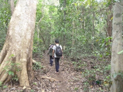 Crocodile Lake, Bau Sau, Nam Cat Tien