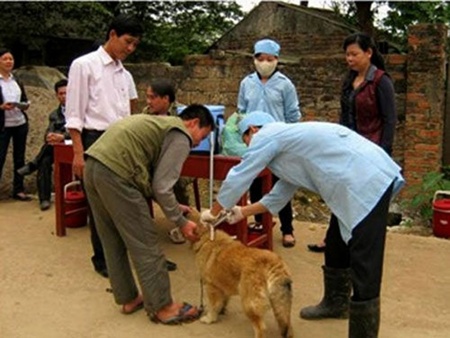 rabies, ecstasy, foreign firms, Binh Duong, anti-corruption, Earthquake, MERS