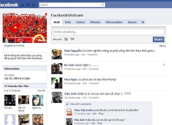 Facebook, Vietnam, Internet users