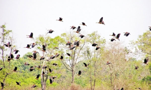 Cat Tien National Park, green tourism, Cuc Phuong, Bach Ma