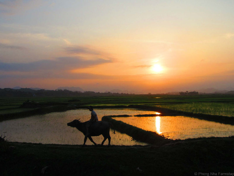 sunsets, Vietnam, photography, foreign photographers