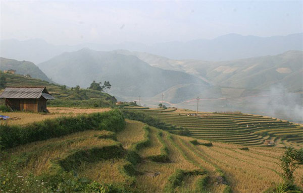 Hoang Su Phi, terraced fields, rainy season