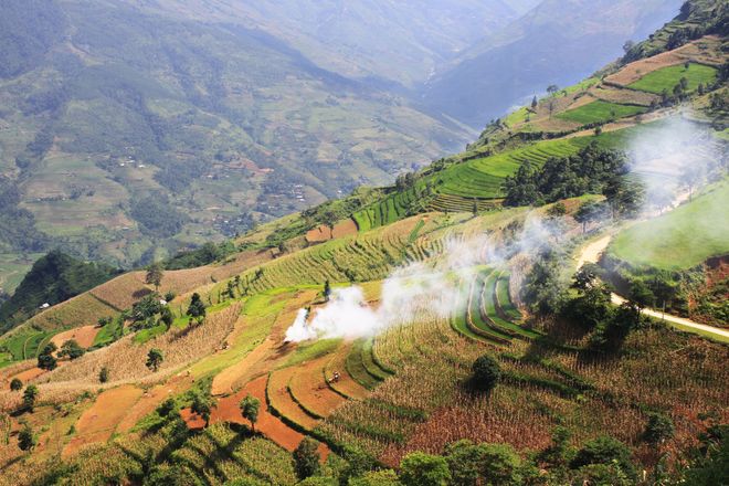 Xin man, terrace, harvest season, Hmong