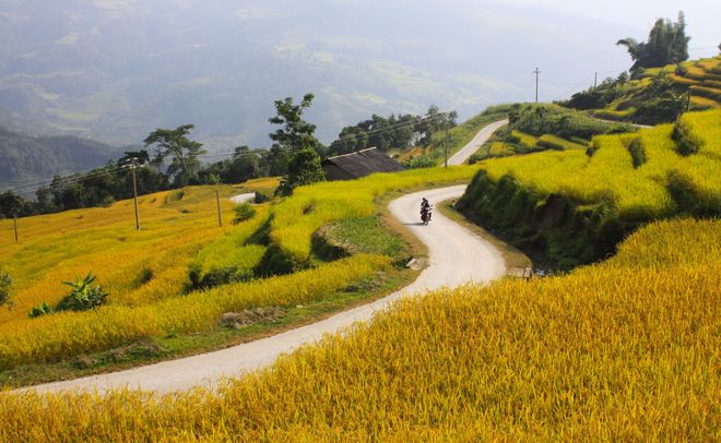 Xin man, terrace, harvest season, Hmong