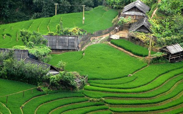 Asian Trip, vietnam image