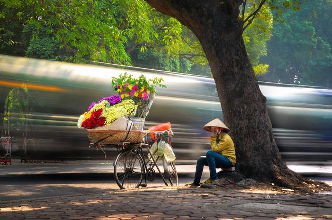 flower bikes, mobile flower shops, hanoi street