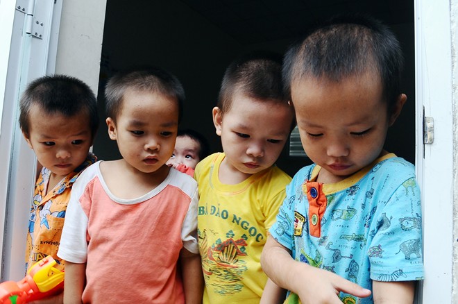 bo de pagoda, selling baby, thich dam lan