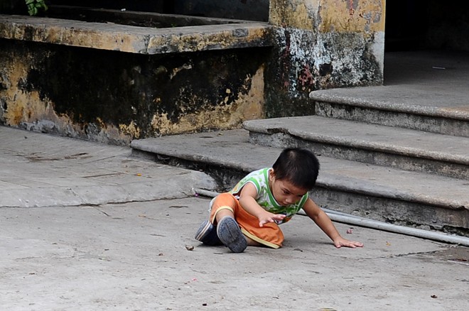 bo de pagoda, selling baby, thich dam lan