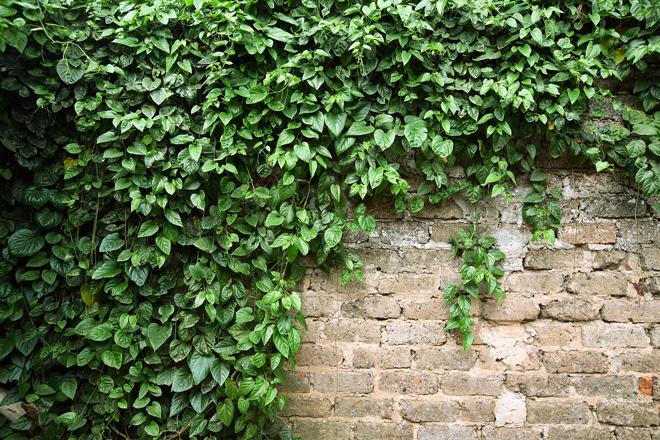 hedgerows, northern villages, rural