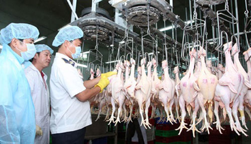 Viet Nam, agrifood industry, higher-quality products, food safety