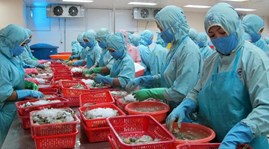 Vietnam, catfish, export turnover