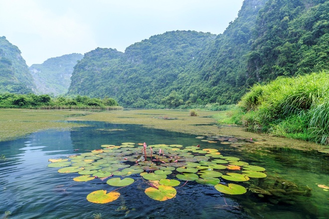 trang an, autumn, ninh binh, ngo dong river