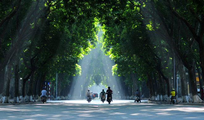 most beautiful road in Hanoi, Phan Dinh Phung Street