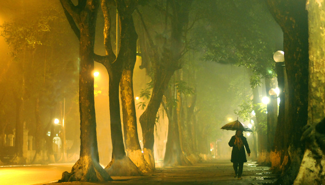 most beautiful road in Hanoi, Phan Dinh Phung Street