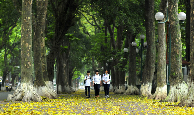 most beautiful road in Hanoi, Phan Dinh Phung Street