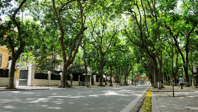 most beautiful road in Hanoi, Phan Dinh Phung Street