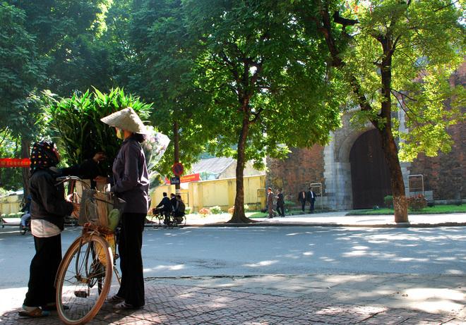 most beautiful road in Hanoi, Phan Dinh Phung Street