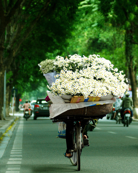 most beautiful road in Hanoi, Phan Dinh Phung Street