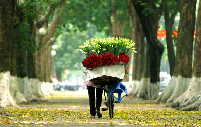 most beautiful road in Hanoi, Phan Dinh Phung Street