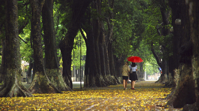 most beautiful road in Hanoi, Phan Dinh Phung Street