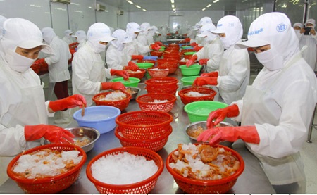 Nafiqad, seafood export to Russia, Russia's Federal Service for Veterinary and Phytosanitary Surveillance, vietnamese seafood exporters, food hygiene criteria