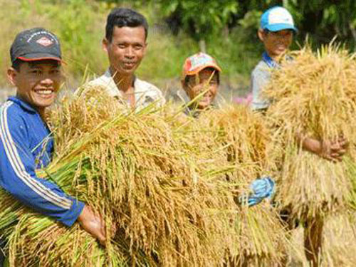 Mekong Delta enjoys sharp poverty drop