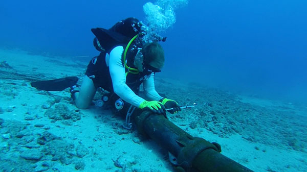 Repair of AAG submarine cable may take a month