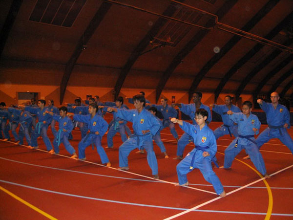 Martial arts delegations join international festival