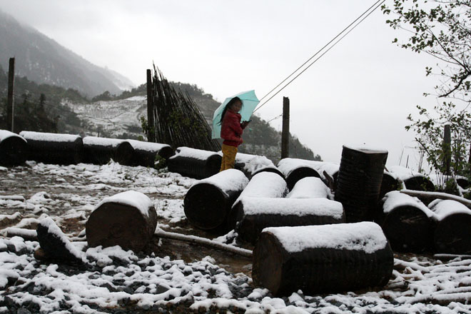 Pictures: Snowfall in Sa Pa