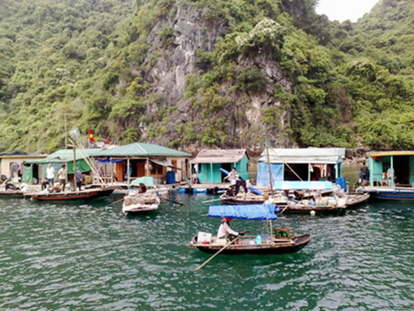 Ha Long Bay, seafood trading, pollution problem