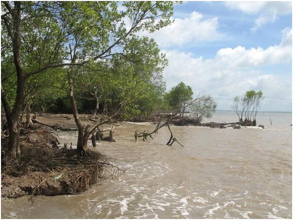 Maps demonstrating areas vulnerable to elevated water levels