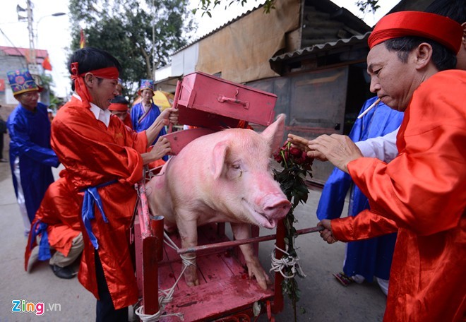 Nem Thuong pig-chopping ritual, pig-chopping festival